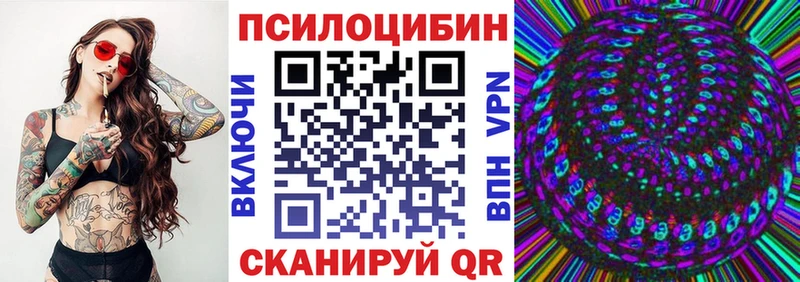Купить  Печора  Псилоцибиновые грибы Cubensis 